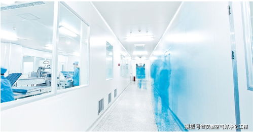 空氣好凈化工程詳解合肥食品無菌潔凈廠房裝修的車間布置設計